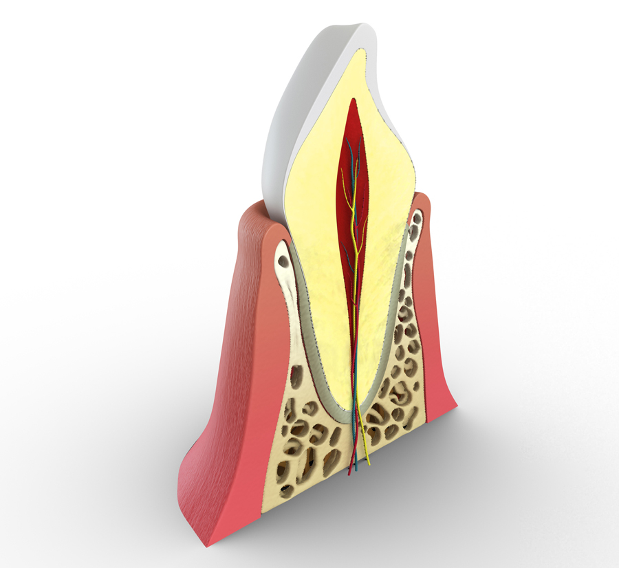 Root Canal Treatment FAQs